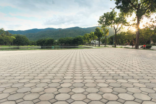 Best Affordable Driveway Pavers  in La Joya, TX