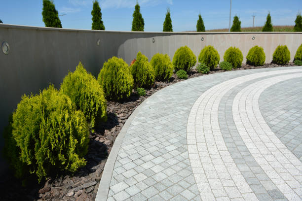 Best Commercial Driveway Pavers  in La Joya, TX
