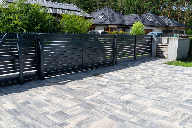 Best Local Driveway Pavers  in La Joya, TX