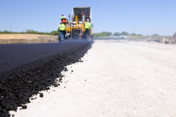 Best Concrete Paver Driveway  in La Joya, TX