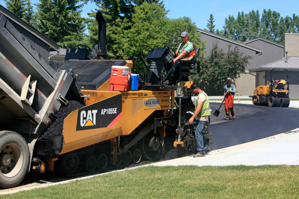 Best Driveway Pavers Near Me  in La Joya, TX