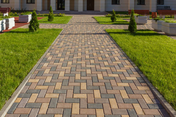 Reasons to Select Us for Your Driveway Paving Requirements in La Joya, TX