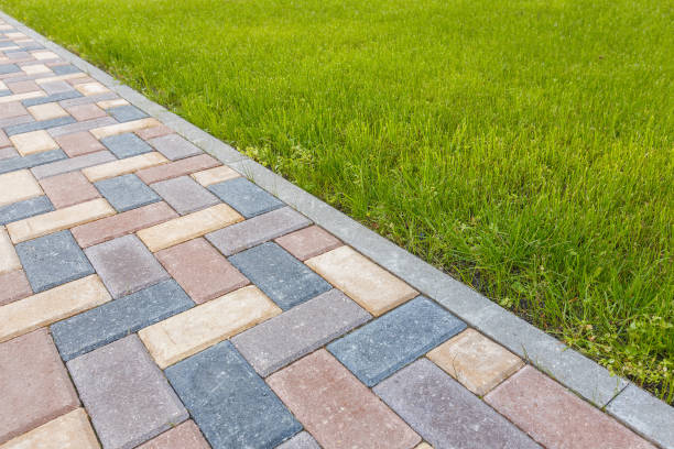 Best Decorative Driveway Pavers  in La Joya, TX